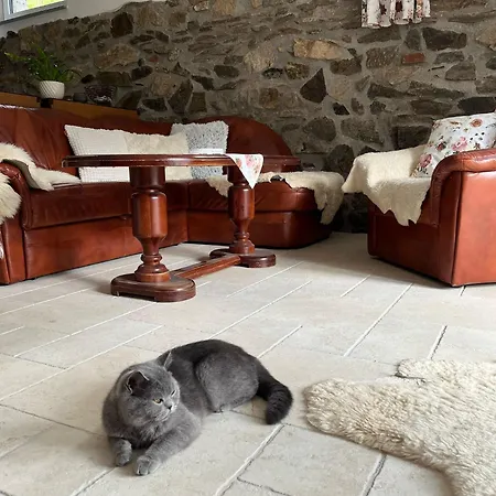 U Prochazku 아파트 *