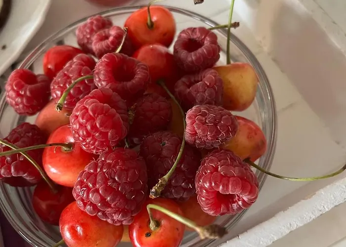 U Prochazku Διαμέρισμα Český Krumlov