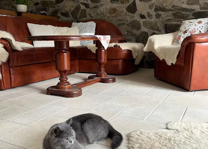 U Prochazku Διαμέρισμα *